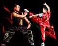 Wushu chinese boxing kung fu Hung Gar fighter isolated child