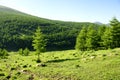 Wutai Mountain scenery