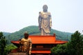 Wuxi Lingshan Buddha Park