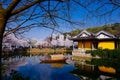 Cherry Blossom valley,wuxi,china