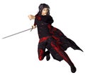 Wuxia Swordsman