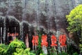 Wuyi mountain , the danxia geomorphology scenery in China