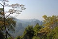 Hills and forests at Wuyishan Mountains, Fujian Province, China