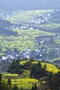 Wuyuan, china: terraced field Royalty Free Stock Photo