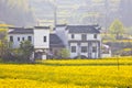 Wuyuan landscape in China at spring Royalty Free Stock Photo
