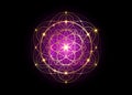 Seed of life symbol Sacred Geometry. Geometric mystic mandala of alchemy esoteric Flower of Life. Gold luxury design, vector Royalty Free Stock Photo