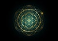 Seed of life symbol Sacred Geometry. Geometric mystic mandala of alchemy esoteric Flower of Life. Gold luxury design, vector