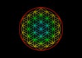 Flower of Life, Yantra Mandala, Sacred Geometry. Bright glowing rainbow colored symbol of harmony and balance. Vector isolated Royalty Free Stock Photo