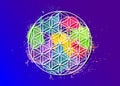 Flower of Life, Yantra Mandala, Sacred Geometry. Colorful circle symbol of harmony and balance. Vector isolated on blue purple Royalty Free Stock Photo