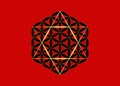 Sacred Geometry, Metatrons cube and golden David Star with black Flower of Life, Gold hexagon symbol of alchemy sign, religion