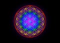 Flower of Life, Yantra Mandala, Metatron cube, Sacred Geometry. Bright glowing spectrum psychedelic colored symbol of harmony Royalty Free Stock Photo