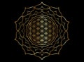 Flower of Life, Yantra Mandala in the golden lotus flower, Sacred Geometry, Metatron cube. Bright luxury symbol of harmony sign