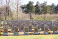 WW1 Belgium world war one cemetery in the Depanne