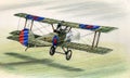 WW1 Sopwith Pup Royalty Free Stock Photo