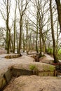 WW1 trenches at Sanctuary Wood, Ypres, Belgium.