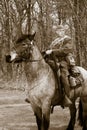 WW1 World War American Soldier