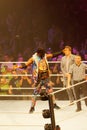WWE Live in Hamburg, May 2019 Royalty Free Stock Photo