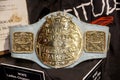 WWF Ladies World Wrestling Championship on display