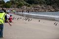 WWF penguin release, New Zealand.