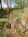 World War I barbed wire fence posts in Ypres (Belgium)