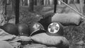 WWII American Metal Helmets Of United States Army Infantry Soldi Royalty Free Stock Photo