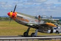 A WWII era P-51D Mustang fighter plane on the runway Royalty Free Stock Photo