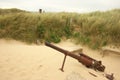 WWII German Canon