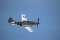 WWII North American P-51 Mustang making a banked turn over Springbank Airport in blue sky