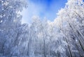 Wwinter scenery in Carpathian mountains near Pezinok, Slovakia