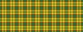 Tartan abstract geometric background vector Royalty Free Stock Photo