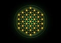 Flower of Life, Yantra Mandala, Sacred Geometry, glow Metatrons cube. Bright golden symbol of harmony and balance. Mystical gold