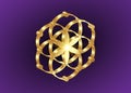 Seed of life symbol Sacred Geometry. 3D Geometric mystic mandala of alchemy esoteric Flower of Life. Gold luxury design, vector Royalty Free Stock Photo