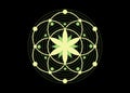 Seed of life symbol Sacred Geometry. Logo icon Geometric mystic mandala of alchemy esoteric Flower of Life. Biologic concept sign