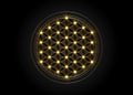 Flower of Life, Yantra Mandala, Sacred Geometry, glow Metatrons cube. Bright golden symbol of harmony and balance. Mystical gold