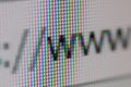 WWW Address Bar of Web Browser. Closeup of Computer Screen.