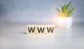 WWW concept on wooden cubes and flower in a pot in the background Royalty Free Stock Photo
