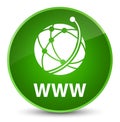 WWW (global network icon) elegant green round button Royalty Free Stock Photo