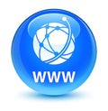 WWW (global network icon) glassy cyan blue round button Royalty Free Stock Photo