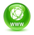 WWW (global network icon) glassy green round button Royalty Free Stock Photo