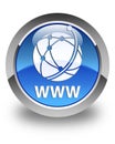 WWW (global network icon) glossy blue round button Royalty Free Stock Photo