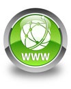 WWW (global network icon) glossy green round button Royalty Free Stock Photo