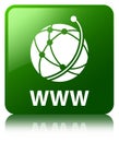 WWW (global network icon) green square button Royalty Free Stock Photo