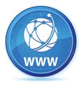 WWW (global network icon) midnight blue prime round button