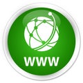 WWW (global network icon) premium green round button Royalty Free Stock Photo