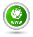 WWW (global network icon) prime green round button Royalty Free Stock Photo