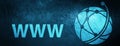 WWW (global network icon) special blue banner background