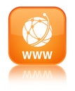 WWW (global network icon) special orange square button Royalty Free Stock Photo