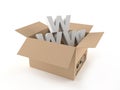 WWW letters inside package Royalty Free Stock Photo