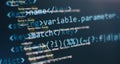 WWW software development. Mobile app developer. Innovative startup project. Website programming code Royalty Free Stock Photo