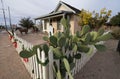 The wyatt earp house and museum in tombstone arizona